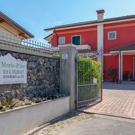 Merlo D'Oro カッラーラ エクステリア 写真